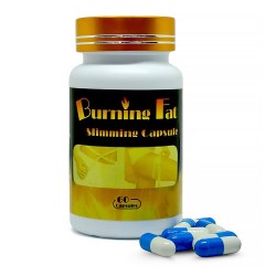 بيرننق فات الأزرق (الجديد)